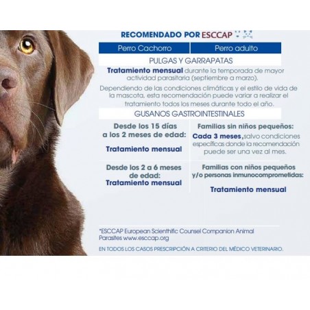Nexgard SPECTRA Antiparasitario Perros entre 30,1 a 60 Kg. 3 dosis - NEXGARD SPECTRA 