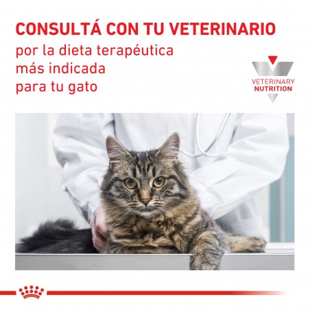 Royal Canin - Gato Castrado Weight Control 7,5 Kg. - Royal Canin Vet 