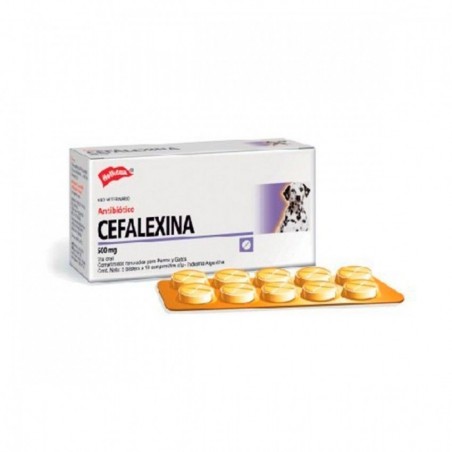 Cefalexina 500 mg, 10 comprimidos - Holliday - laboratorio holliday scott 