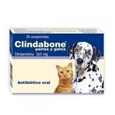 Clindabone Clindamicina 165 mg Caja 20 comprimidos - laboratorio drag pharma 