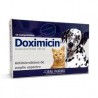 Doximicin 100 mg Doxiciclina 10 Comprimidos Dragpharma - laboratorio drag pharma 