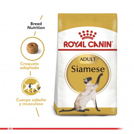 Royal Canin - Gato Siamese 38 - 1,5Kg - Royal Canin 