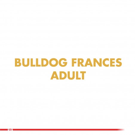 Royal Canin - Perro - Bulldog Frances Adulto 3kg. - Royal Canin 